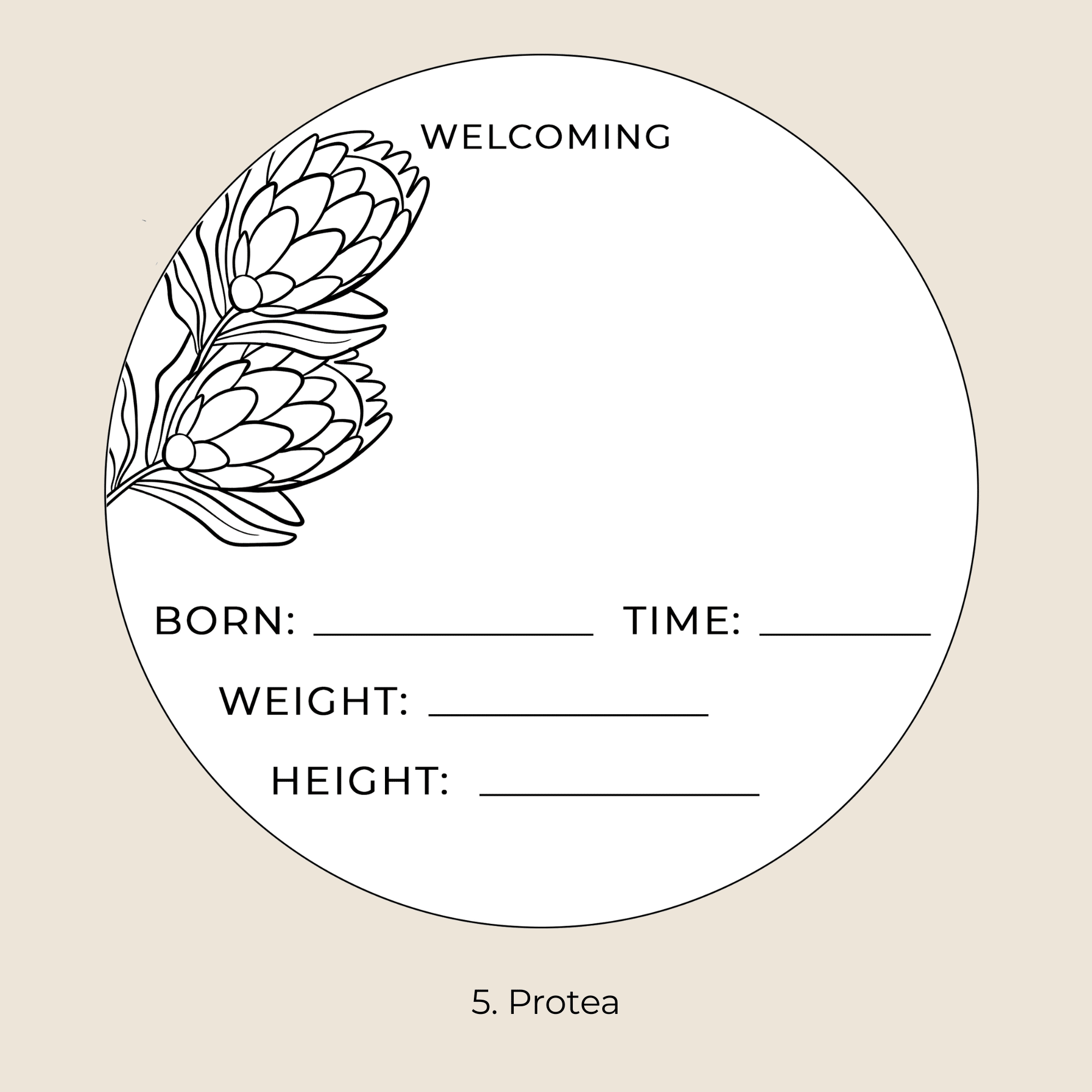 Baby Welcome Sign - Image 9
