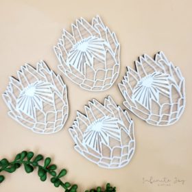 Protea coaster